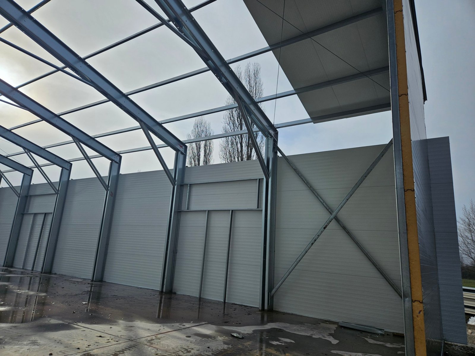 1000028596 BFH1ohZiztdWVJnf 2