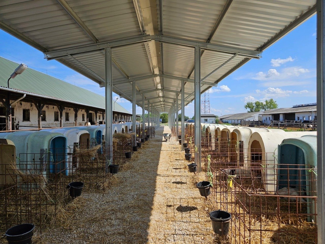 Referenciák Image10 A2xrK1Ditxy0ywCC